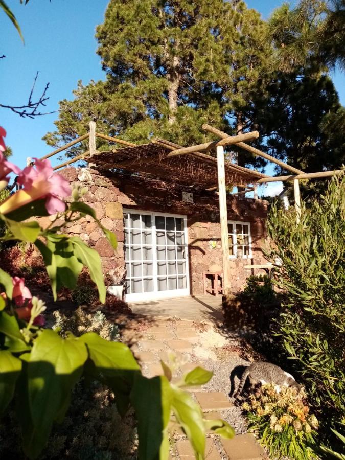 Casa Los Pinos - Sunset & Wifi Puntagorda Екстериор снимка