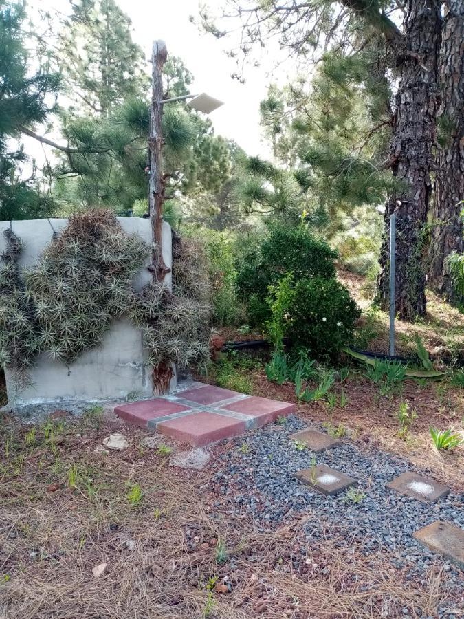 Casa Los Pinos - Sunset & Wifi Puntagorda Екстериор снимка